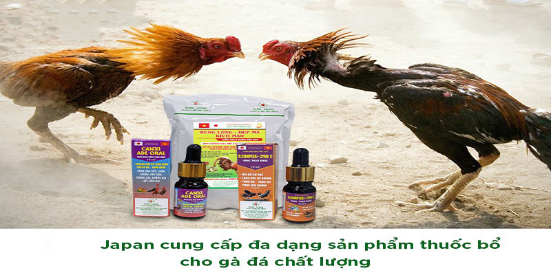 Giới thiệu về thuốc tăng bo cho gà đá