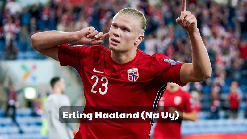 Erling Haaland (Na Uy)