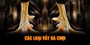 Các loại vảy gà